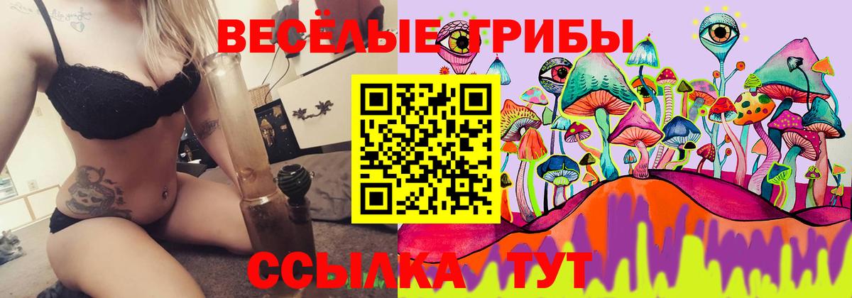 цена наркотик  Псилоцибиновые грибы MAGIC MUSHROOMS  Вход с VPN  Псилоцибиновые грибы Cubensis  Звенигород 